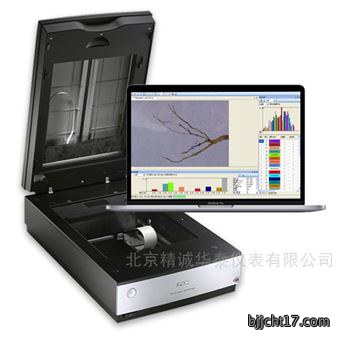 植物根系分析仪