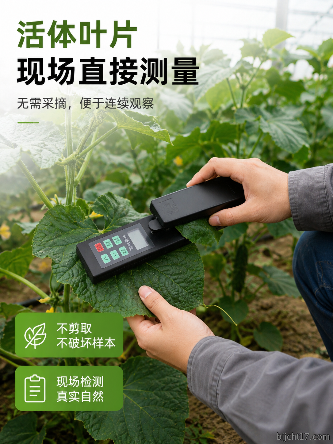 叶面积测量仪详情8.png
