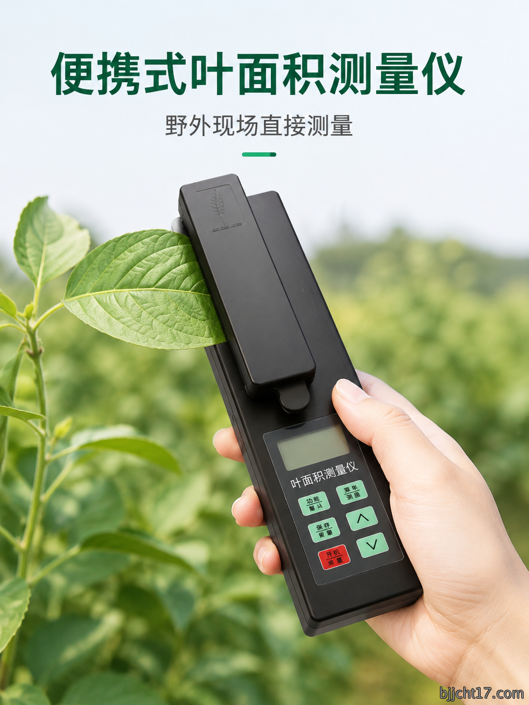叶面积测量仪详情 6.png