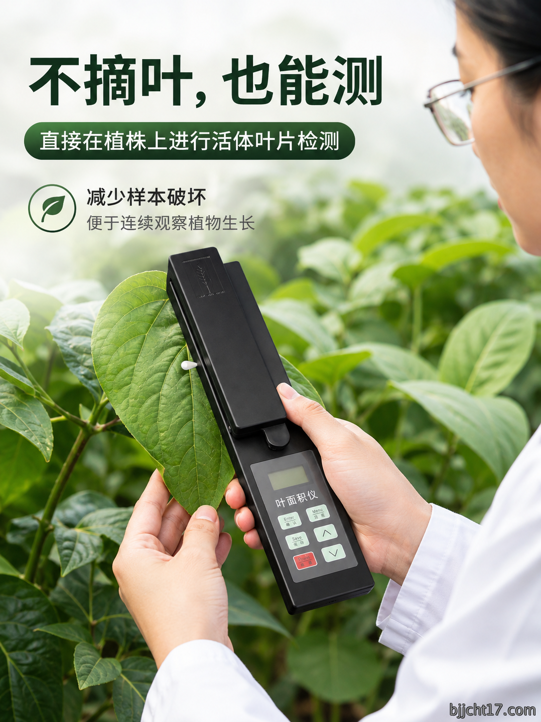 03-商品图-3.png